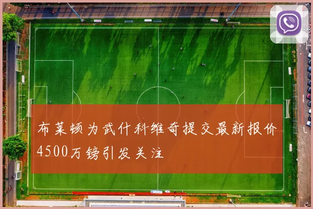 布莱顿为武什科维奇提交最新报价4500万镑引发关注